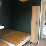 Nieboer